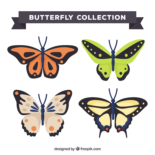 Four pretty butterflies