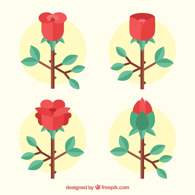 Download Four pretty roses in flat design Vector | Free Download
