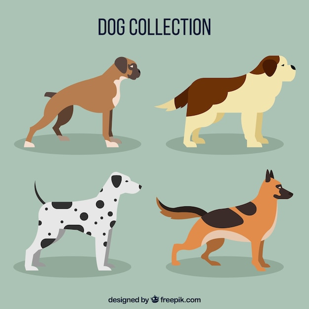 Four profile dogs in flat design