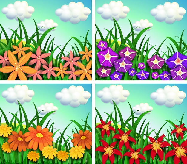 Four scenes of flower fields