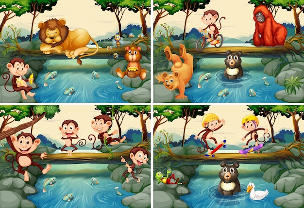 Four scenes with wild animals in the\
river