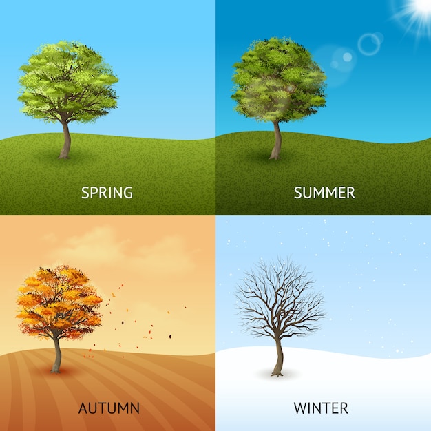 Four season concept set with trees on sky\
background