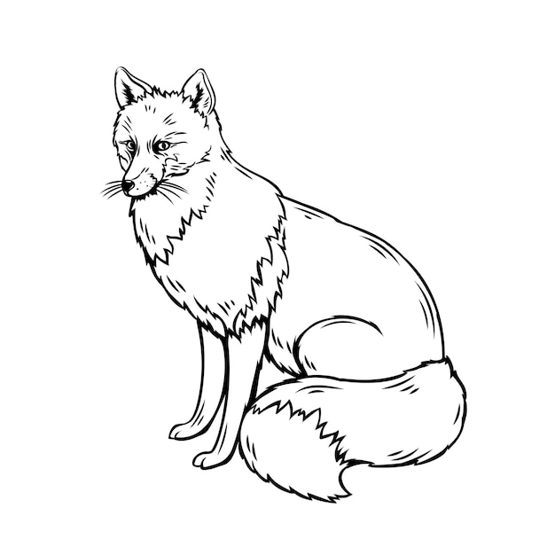 Premium Vector Fox outline illustration. forest animal sketch for zoo