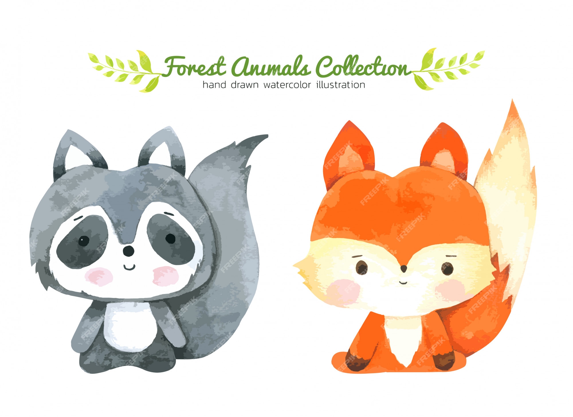 Premium Vector | Fox and raccoon cartoon watercolor, forest animal hand ...