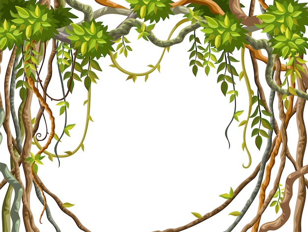 Premium Vector | Frame liana branches and tropical leaves background.