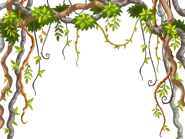 Premium Vector | Frame of liana branches and tropical leaves.