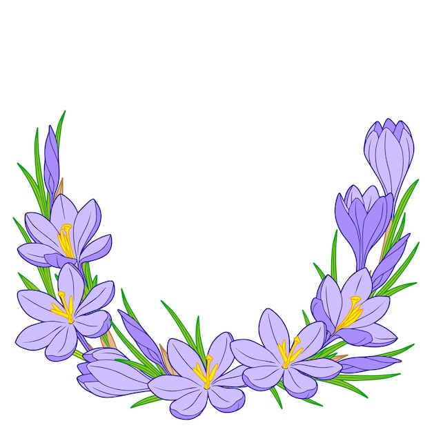 Premium Vector Frame With Blue Crocus Flowers Isolated On White