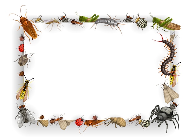 昆虫のベクトルナンキンムシ ノミ アリ ハチ ハエ 蚊とゴキブリのフレーム プレミアムベクター