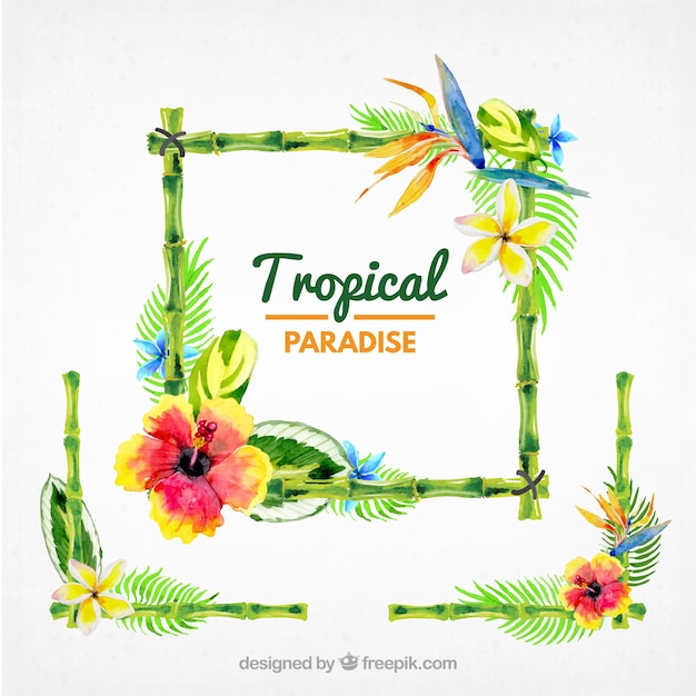 Frame With Tropical Watercolor Flowers Vector Free Download