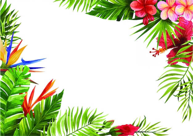 Premium Vector Frames From Tropical Flowers And Leaves