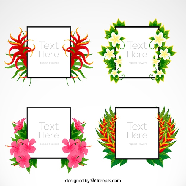 Frames with tropical flowers set