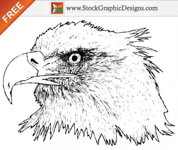 Free Vector | Free hand drawn eagle vector graphics