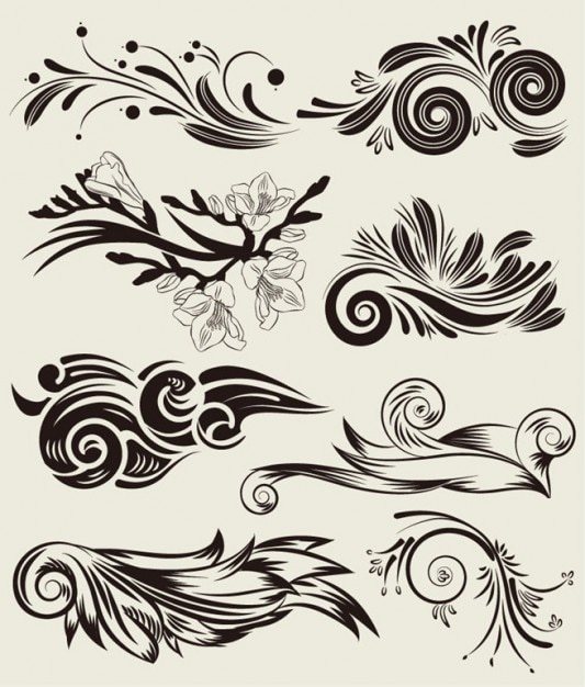 Download Free vector set of beautiful floral elements Vector | Free ...