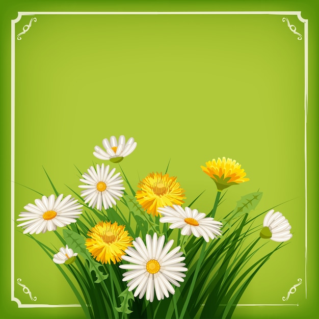 Fresh spring background with grass, dandelions and daisies. vector Premium Vector