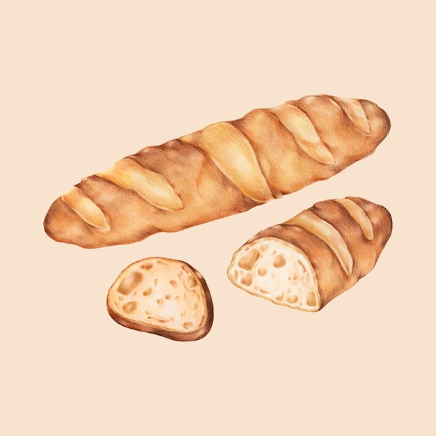 焼きたてのバゲット手描きのイラスト プレミアムベクター