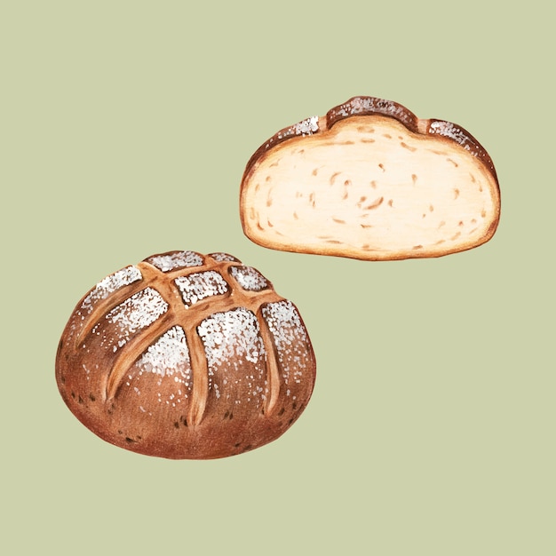 Premium Vector | Freshly Baked Sourdough Bread Hand-drawn Illustration