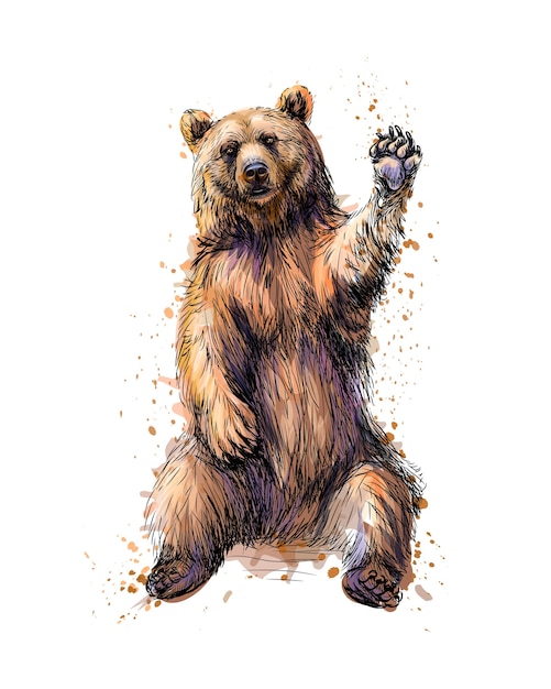 Premium Vector Friendly brown bear sitting and waving a paw from a