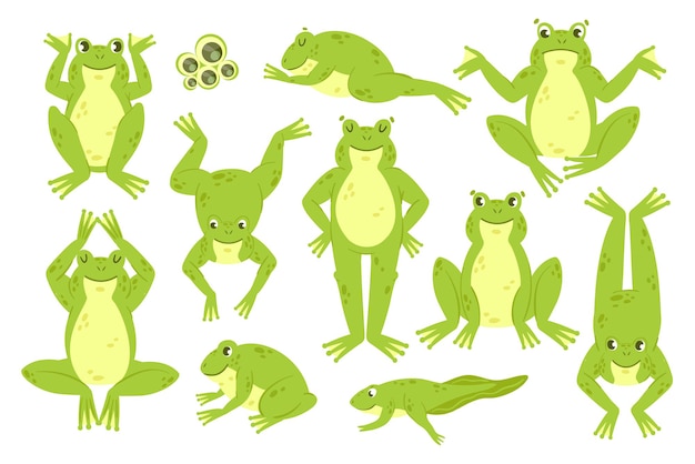 カエルかわいいセット面白い幸せな緑のカエルのキャラクターの鳴き声ジャンプホップ跳躍睡眠コレクション プレミアムベクター