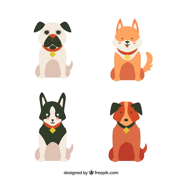 Frontal view of four dogs in flat design