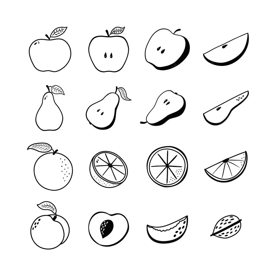 Premium Vector | Fruit icons set. collection of hand drawn fruit ...