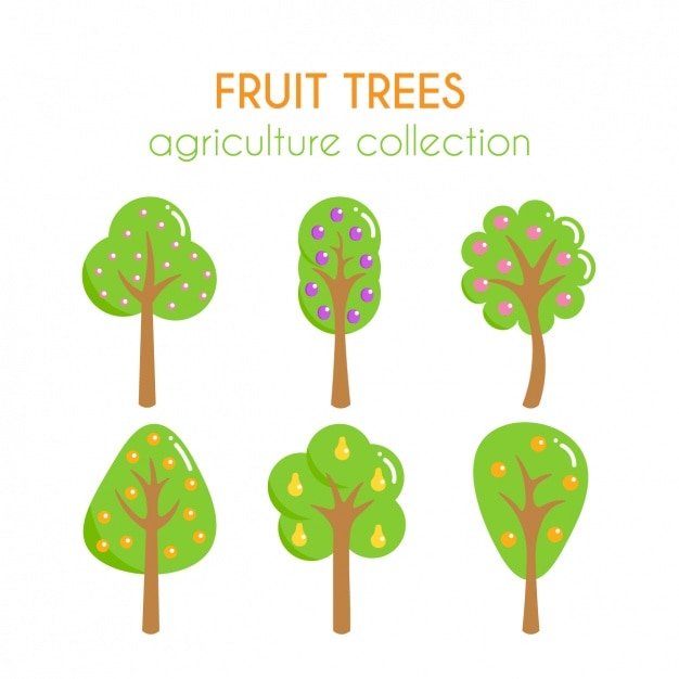 Free Free Fruit Tree Svg 669 SVG PNG EPS DXF File