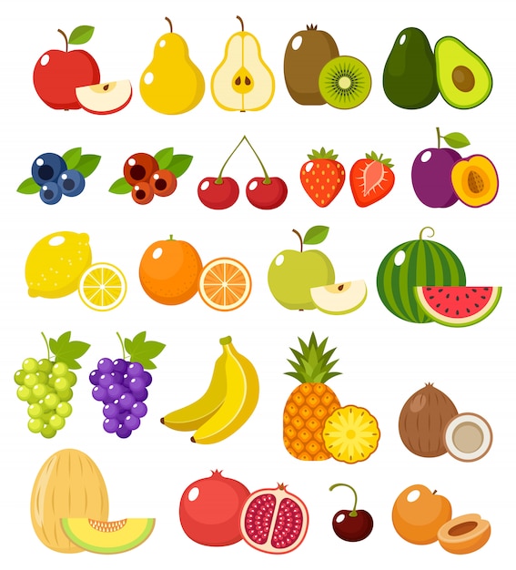 Premium Vector | Fruit on a white background