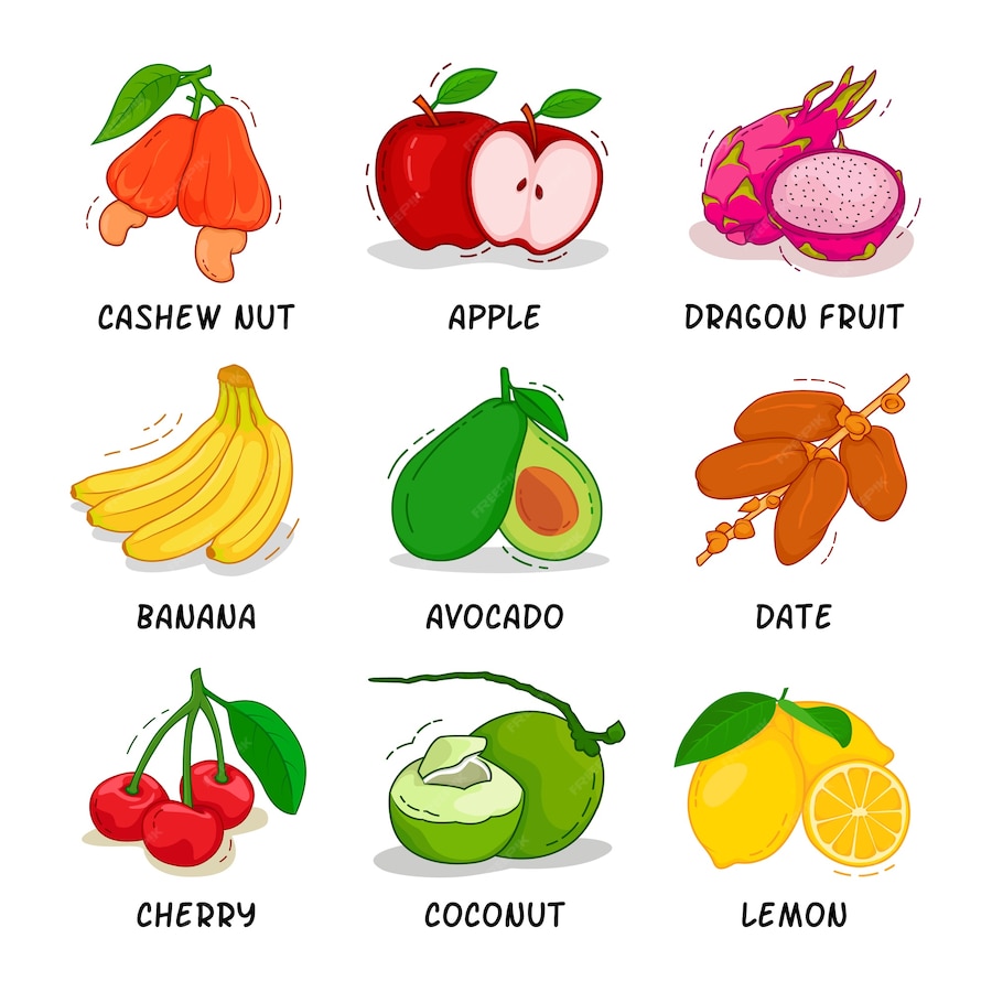 Premium Vector | Fruits collection