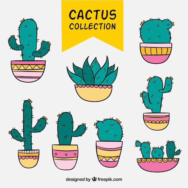 Download Fun pack of colorful cactus Vector | Free Download