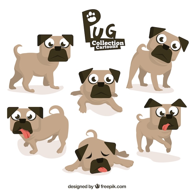 Fun pack of pugs with flat design