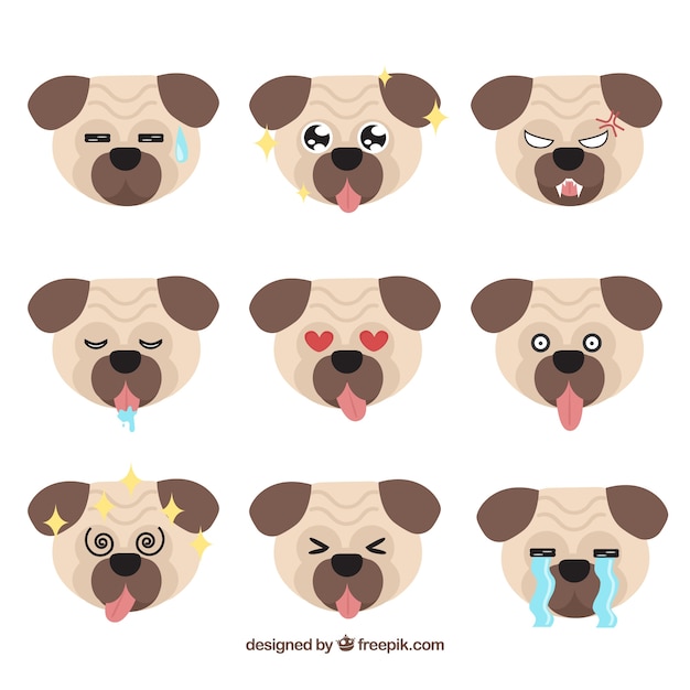 Fun variety of pug faces