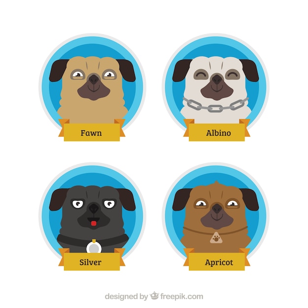 Download Free Download Free Fun Variety Of Smiley Pug Faces Vector Freepik Use our free logo maker to create a logo and build your brand. Put your logo on business cards, promotional products, or your website for brand visibility.