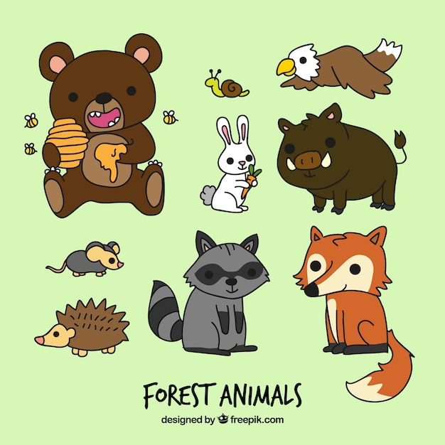 Funny cartoon forest animals Vector | Free Download