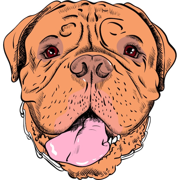 Premium Vector | Funny cartoon hipster dog french mastiff