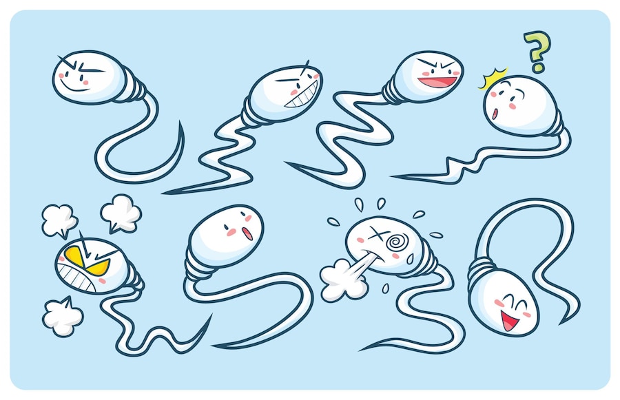 Premium Vector Funny And Cute Sperm Expression Set 7497