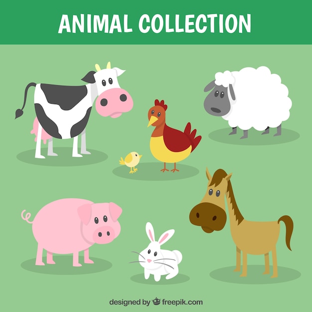 Funny farm animal collection
