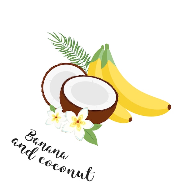 面白いフルーツセット バナナ ココナッツ 葉 ベクトルイラストレーションのアイコン葉と花のトロピカルフルーツ 白いトレンディなイラストのベクトルのセット プレミアムベクター