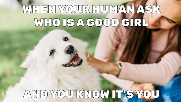 Pull Your Hair Good Girl Meme