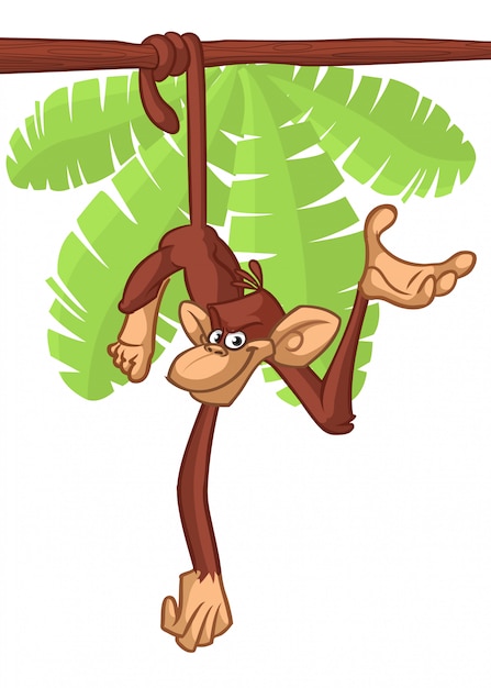 Free Free 160 Hanging Monkey Svg Free SVG PNG EPS DXF File