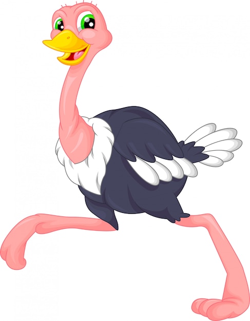 Premium Vector | Funny ostrich cartoon