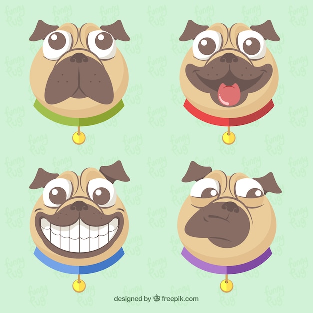 Funny pack of modern pug faces