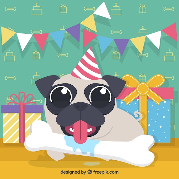 Funny pug at birthday party Vector | Free Download