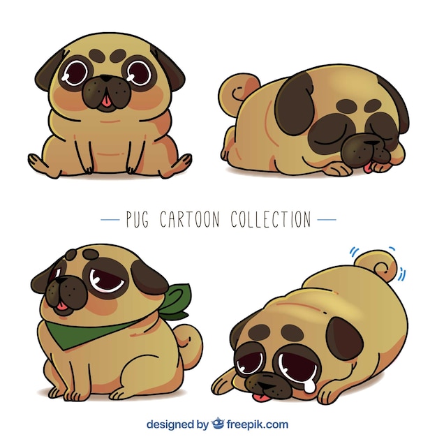 Funny pug cartoon collection