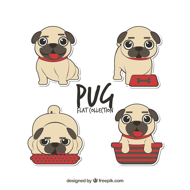 Funny pug collection