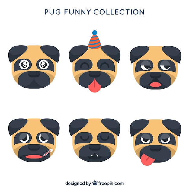 Funny pug collection