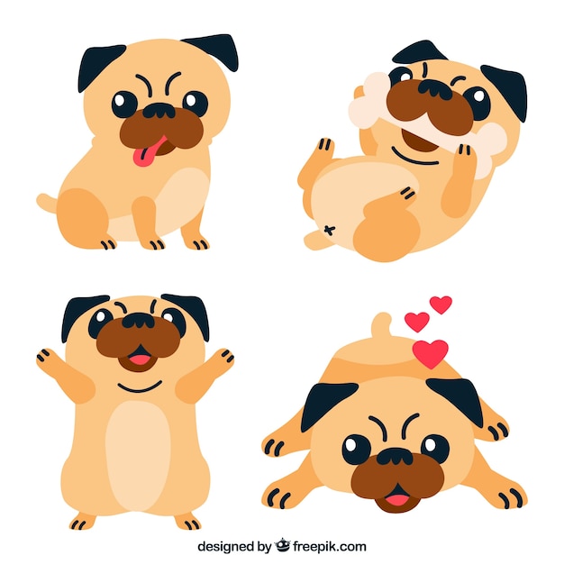 Funny pugs with flat design