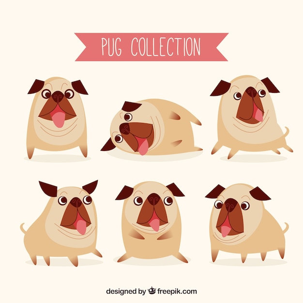 Funny pugs with original style