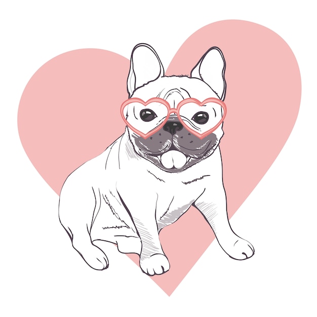 Adorable French Bulldog Drawing Cute