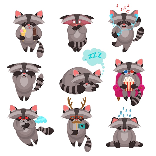 Funny raccoon collection