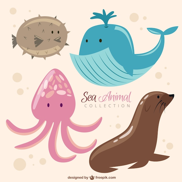 Funny sea animal collection