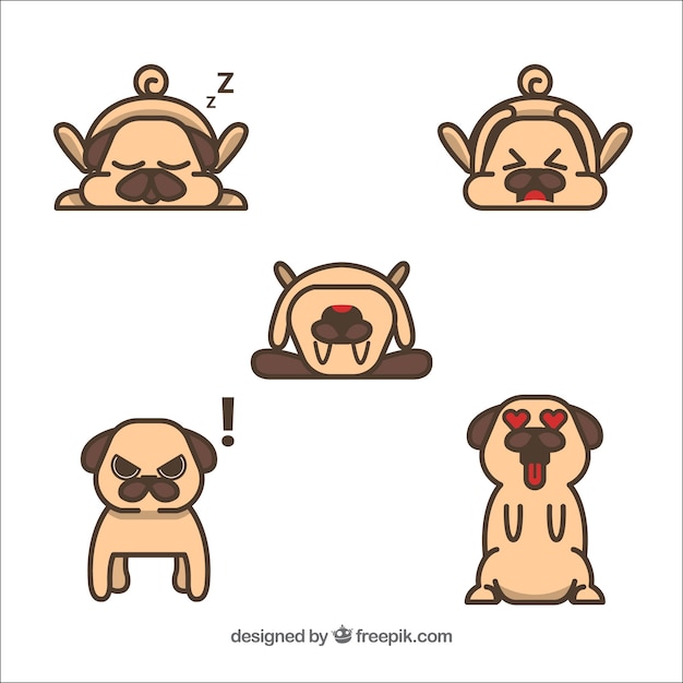 Funny set of flat pugs